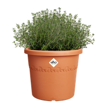 algarve cilindro 25cm terra